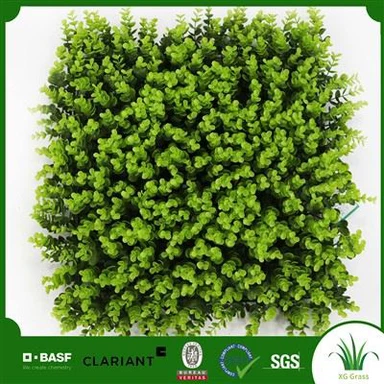 קיר דשא לחדר