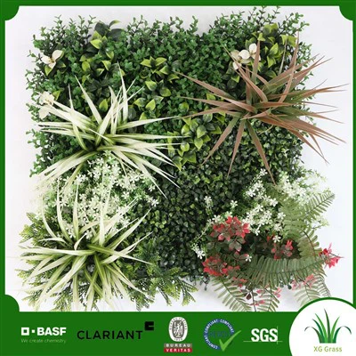 צמח קיר חדר שינה