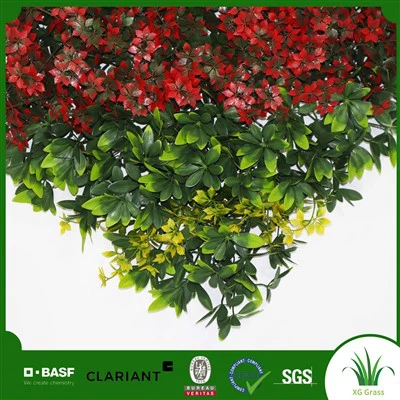 קיר דשא בדירה