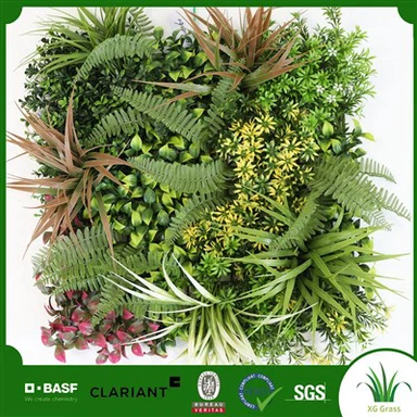 קיר צמחים למשרד ביתי