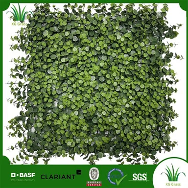 קיר צמח בית