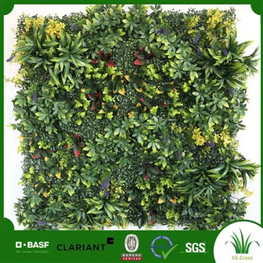 קיר קיסוס מקורה