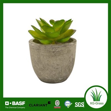 צמח מלאכותי דמוי חיים לקישוט הבית והמשרד