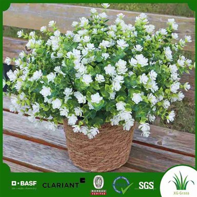 פרחי משי בקרבתי