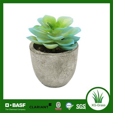 עיצוב פנים עסיסי מציאותי