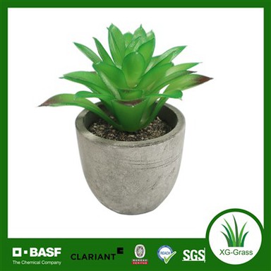 עציץ בשרני מלאכותי בינוני