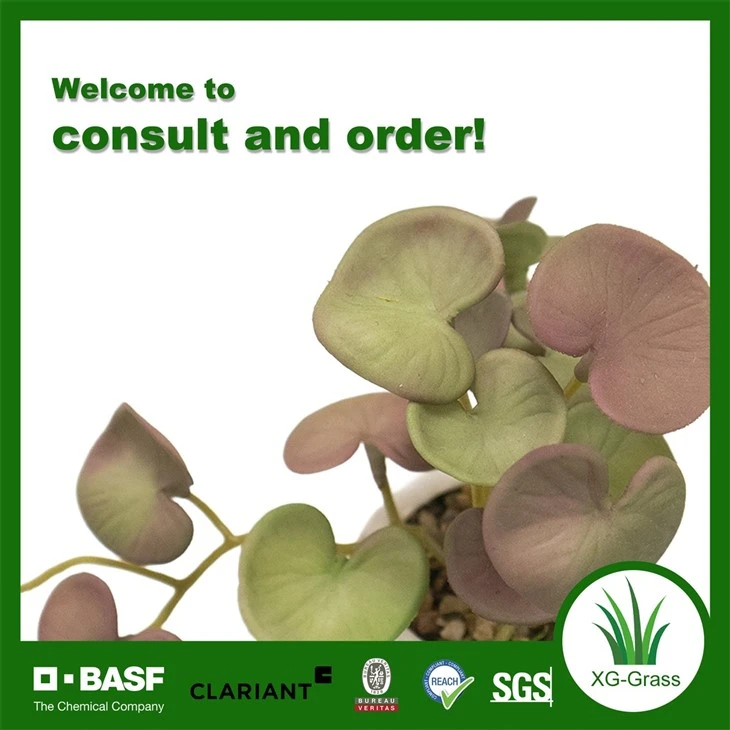 Xingu Faux Succulent Arrangements For Indoor And Outdoor Spaces suppliers